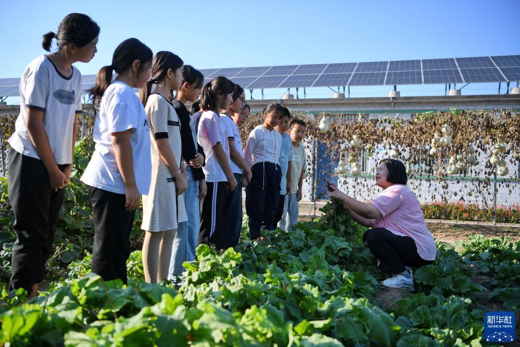 大满贯电子游戏网站平台